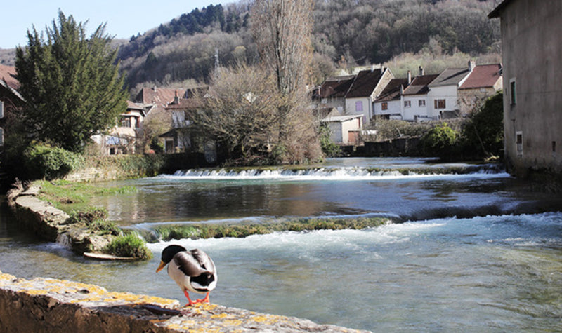 Chef-In-Residence - La Closerie Les Capucines