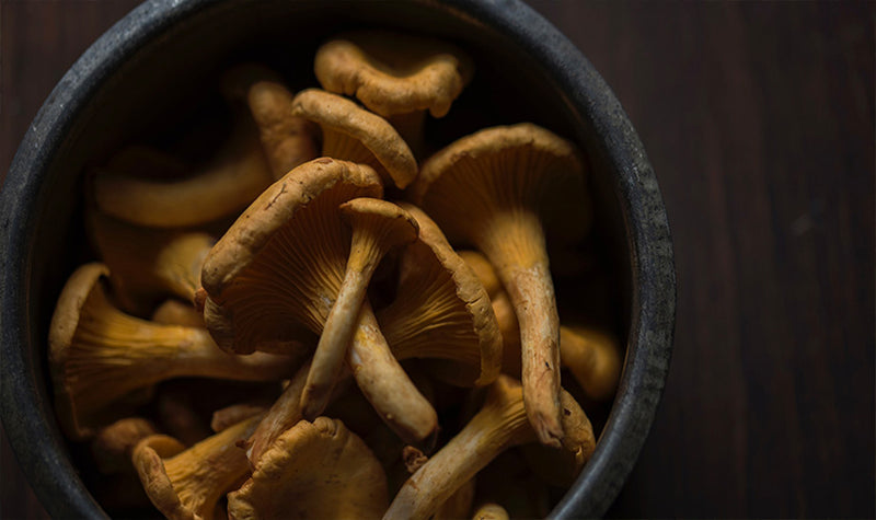 Wild for Mushrooms