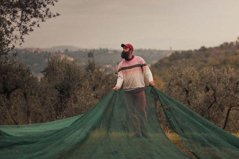 Maraviglia Collection