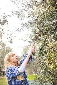 La Collina Blu Extra Virgin Olive Oil