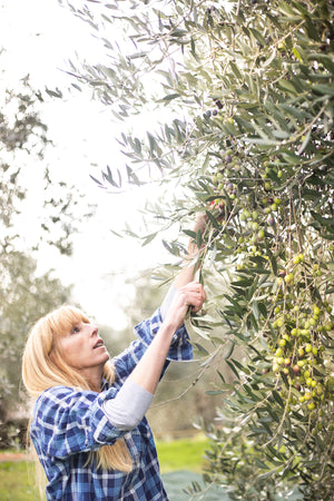 La Collina Blu Extra Virgin Olive Oil